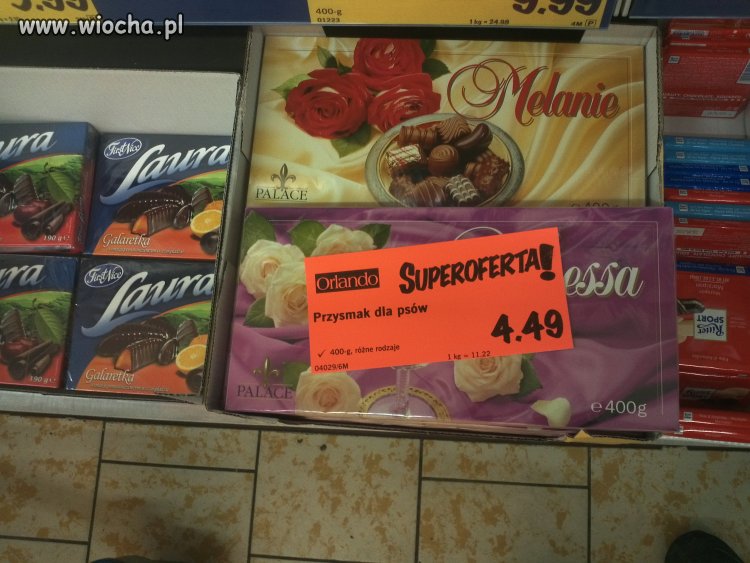 Nie ma to jak zakupy w Lidlu