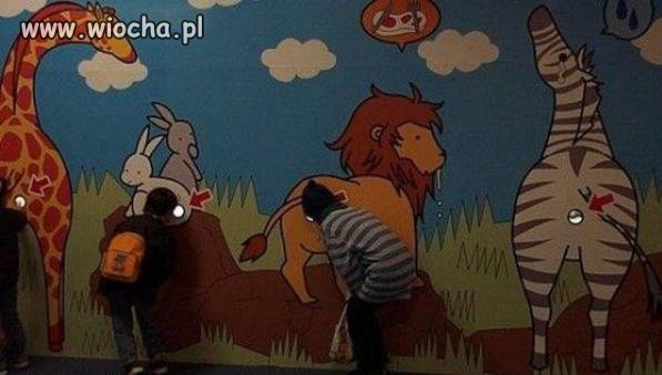 Prawdziwe podglądanie zwierząt