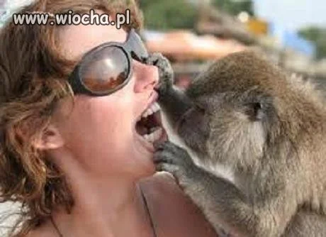 Pokaż kotku co masz w środku?