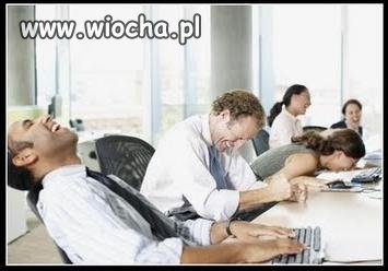 Admini Wiocha PL