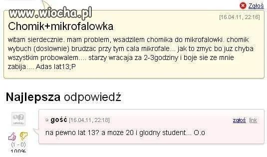 Chomik