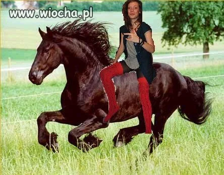 Wiem że może się powtarzam...