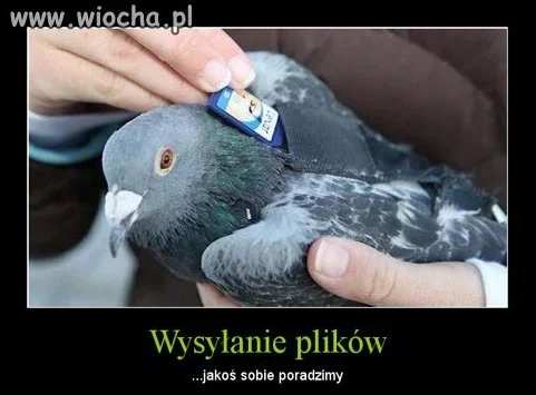 ACTA?