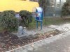 Polskie realia