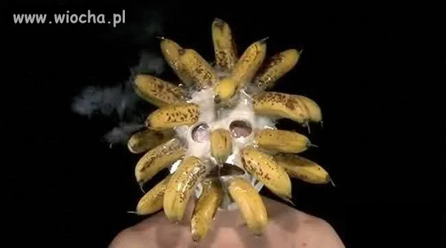 Nowy członek Slipknota