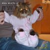 Kolejny kotek
