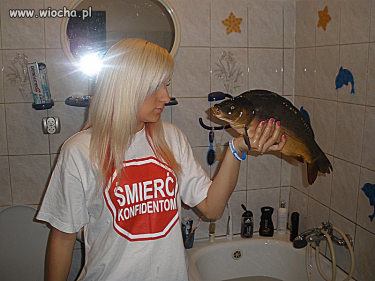 Śmierć konfidentom...