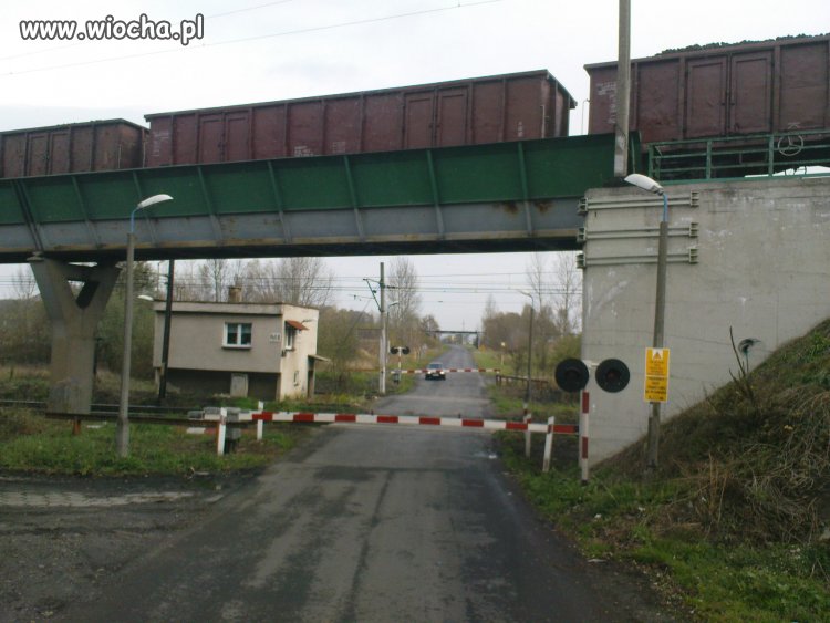 Tylko PL