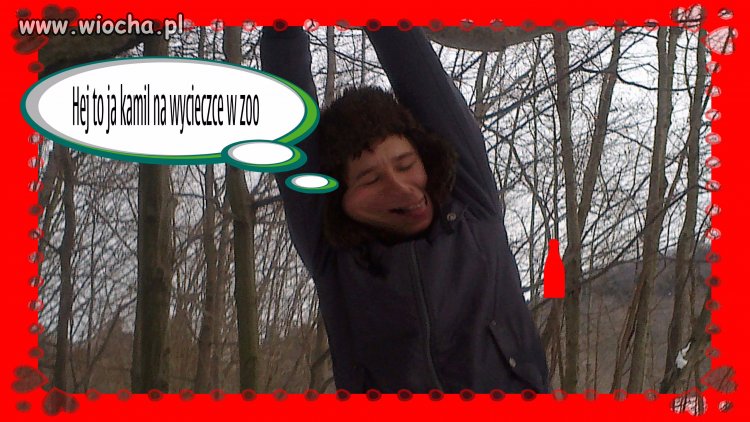 WYCIECZKA W ZOO