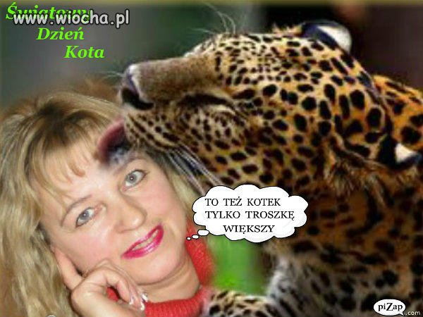 Glupota ludzka nie zna granic 