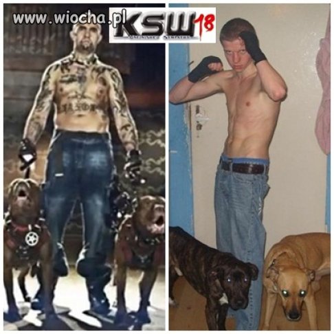 KSW 18 nadchodzi...