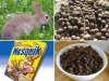 Nowa wzmocniona formuła...