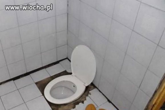 Można...