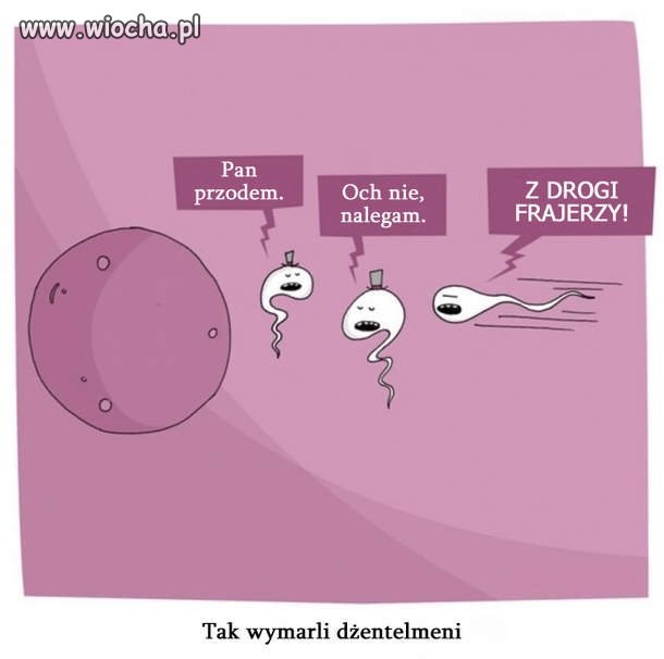 Dlaczego wymarli dżentelmeni