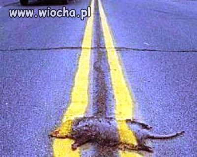 Plan musi być wykonany