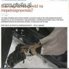 Brak nogi nie dowód na niepełnosprawność...