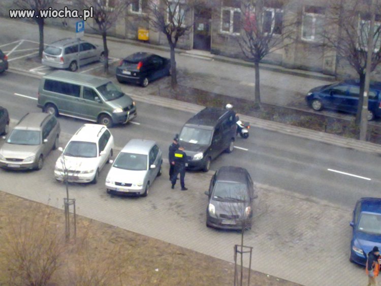 Mistrz parkowania...