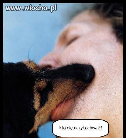 Komentarz pozostawiam wam...
