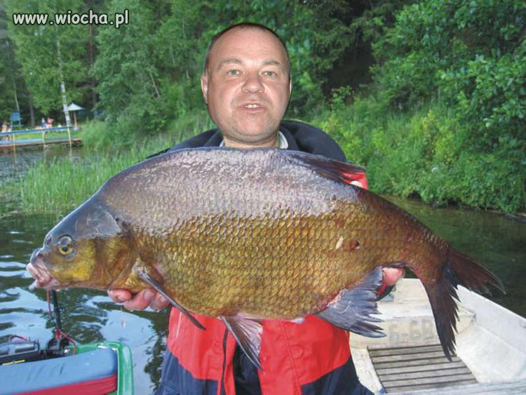 Mistrz photoshopa