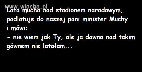 Stadion