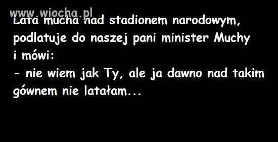 Stadion