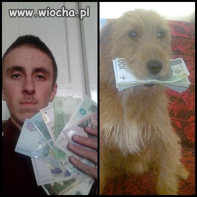 Mam sztuczne pieniądze