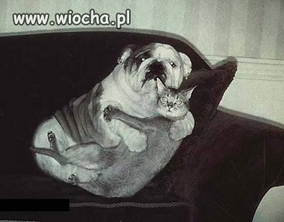 Ups...