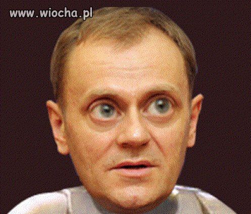 CZY TE OCZY