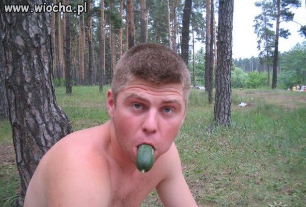 Piknik w lesie. 