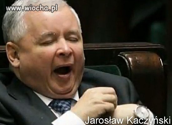 Proszę tylko zobaczyć...