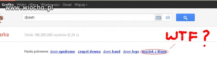 Google ma poczucie humoru