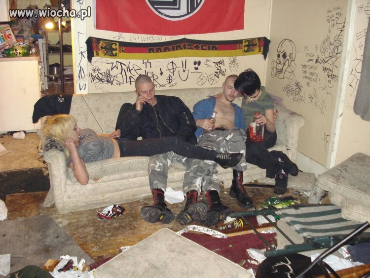 Czyści rasowo