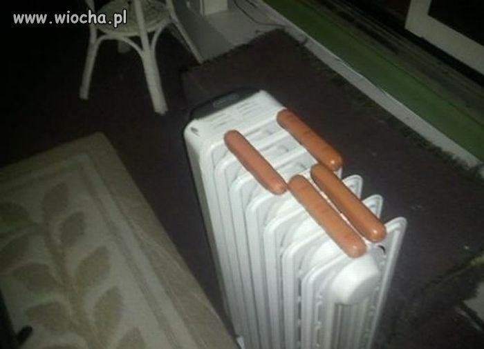 Hot-dogi