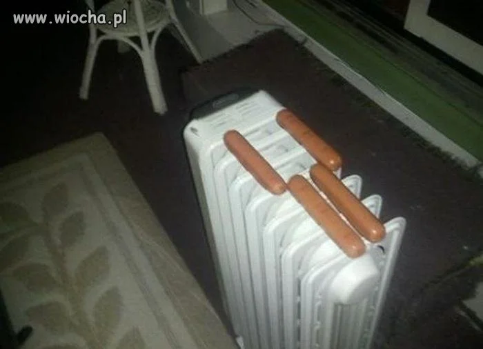 Hot-dogi