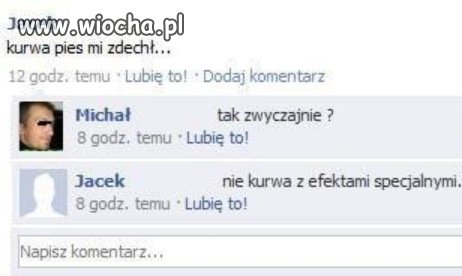 Pies zdechł