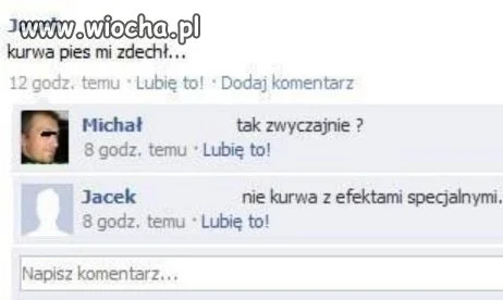 Pies zdechł