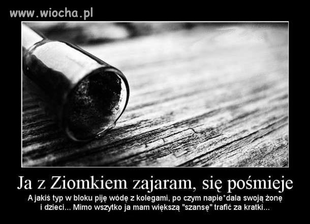 Szczera prawda