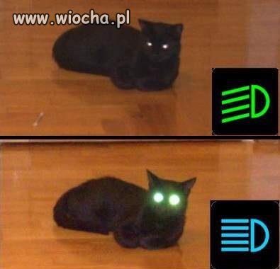 Hehe