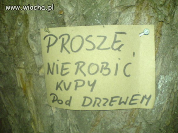 Napis mówi sam za siebie 