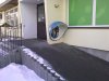 Sam nie wiem co tu wpisać