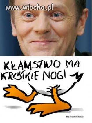 Nie bójcie się nie będzie ACTA.