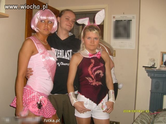 Różowe króliczki