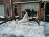Polacy w NL