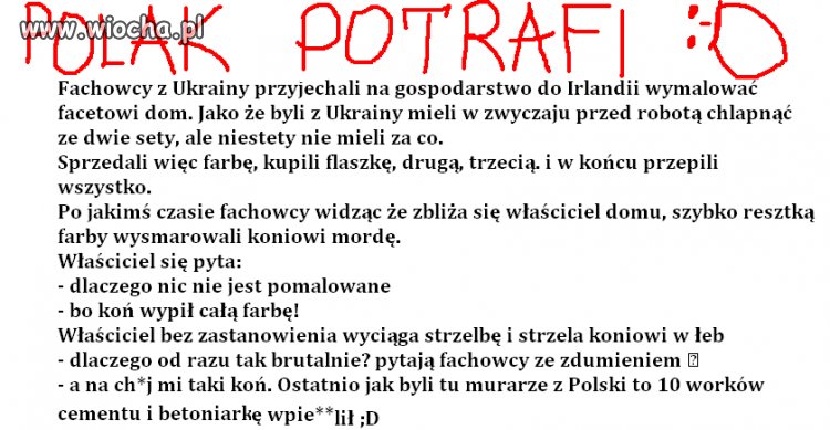 Polak potrafi 