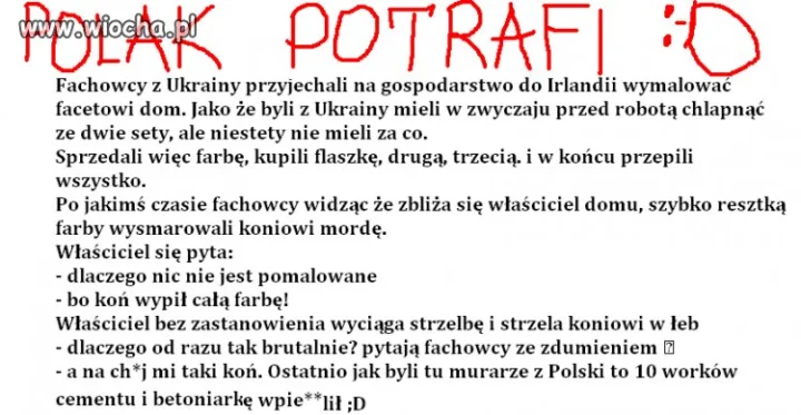 Polak potrafi 