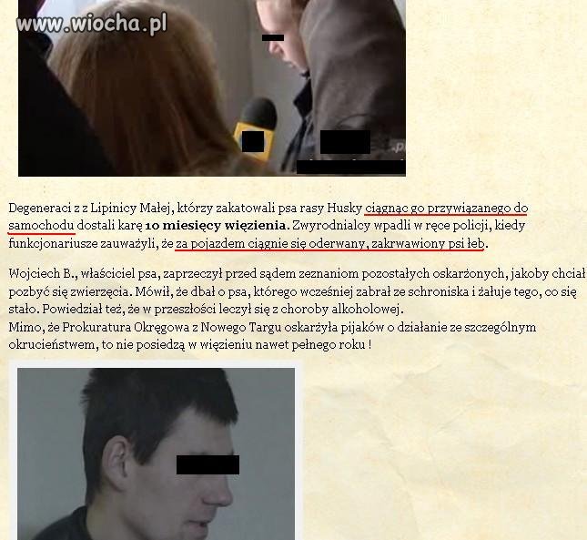 Urwali psu głowe, jak można być tak okrutnym