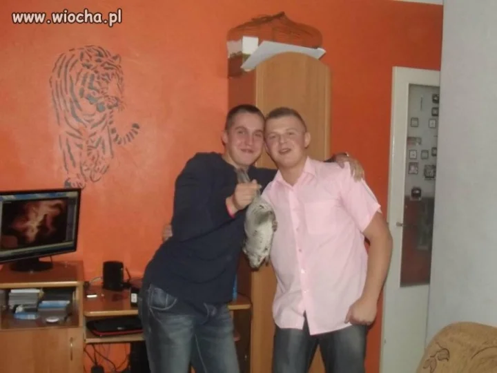 Co za wiocha znęcać się nad zwierzętami!!!