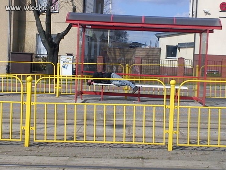 Sezon na żuli ogłaszam za otwarty!!