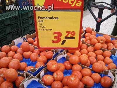 Nowa odmiana ''Pomarańczy''