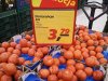 Nowa odmiana ''Pomarańczy''